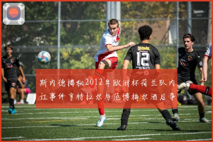 斯内德揭秘2012年欧洲杯荷兰队内讧事件亨特拉尔与范博梅尔酒后争执内幕